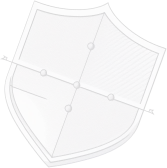 shield-img.webp